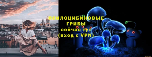 хмурый Ладушкин