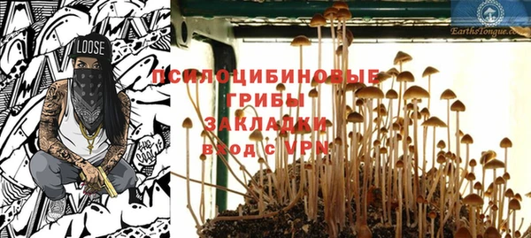 прущий лед Лагань