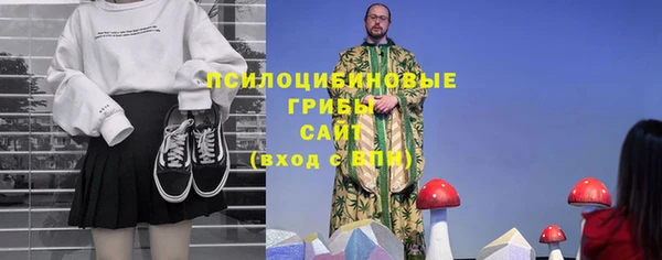 хмурый Ладушкин