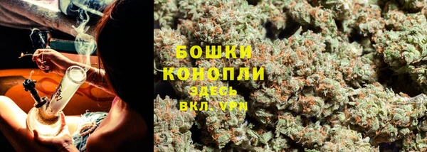 хмурый Ладушкин
