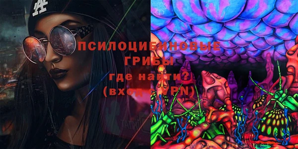 прущий лед Лагань