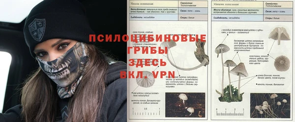 прущий лед Лагань