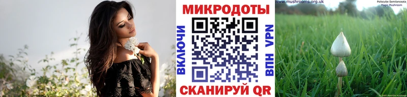 Псилоцибиновые грибы Psilocybe  Соликамск 