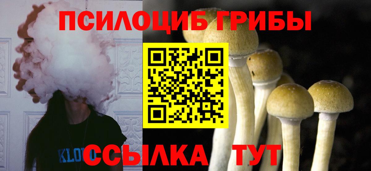 Галлюциногенные грибы Magic Shrooms  Вход с VPN  Соликамск 